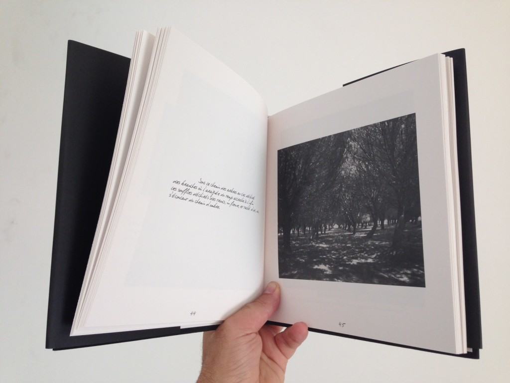 El Libro 'Vue de l'instant' de fotografías de Thierry Valencin. 1er premio de impresión offset a un color. Por cierto que sus fotos se pueden ver ahora en Railowsky y en el IVF.