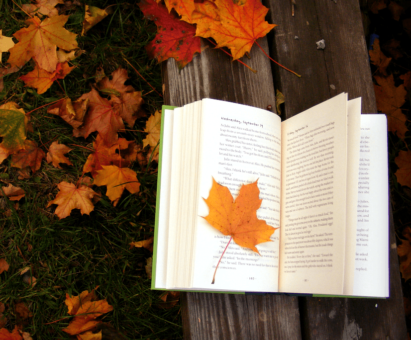 libros para la vuelta al cole 0