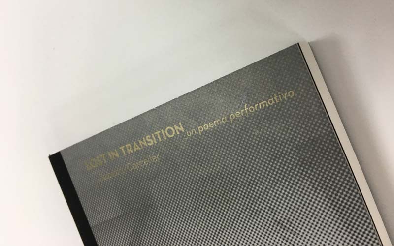 portada en papel del libro impreso lost in transition