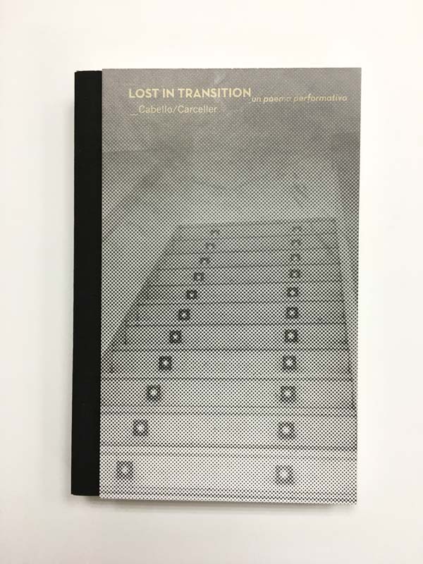 portada en papel del libro impreso lost in transition