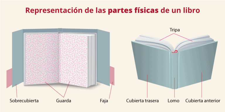 Partes de un libro. Conócelas.