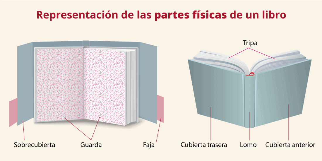 Representación o infografía de las partes físicas o externas de un libro