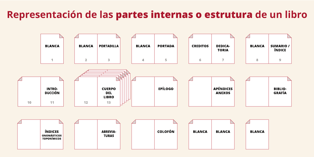 Partes internas de un libro o estructura de su contenido