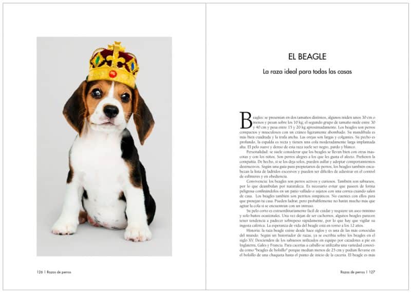 Inicio de capítulo en los libros y tipos de párrafos | Maquetación