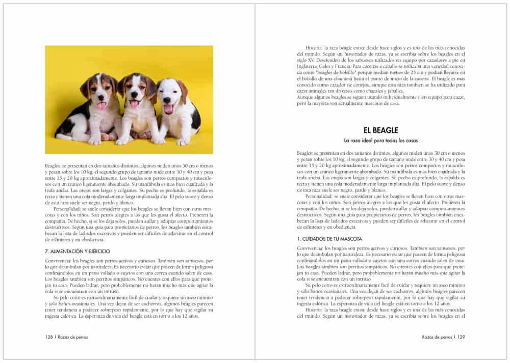 Ejemplo-de-inicio-de-capitulo-a-mitad-de-pagina ejemplo de inicio de capítulo a mitad de página