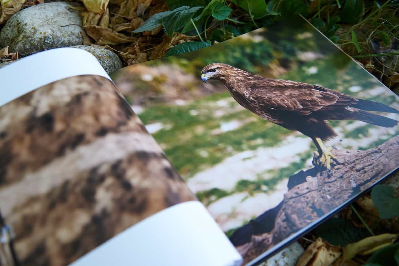 interior del libro de fauna y senderismo de Alcoy