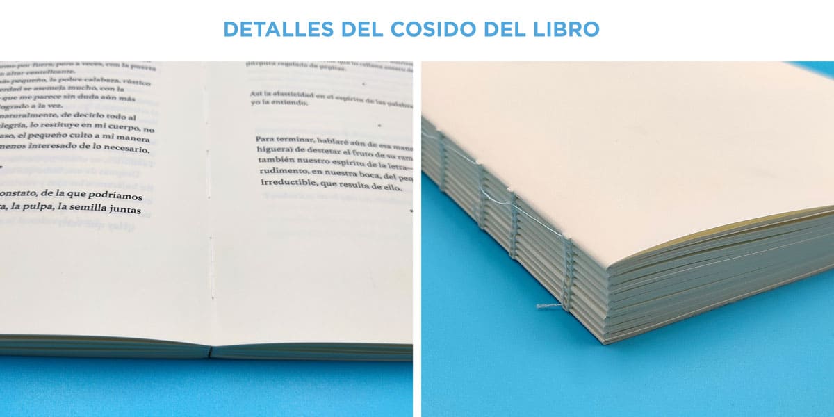 Detalles del cosido del libro