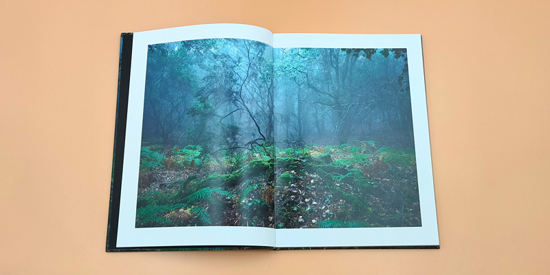 fotografía doble página del bosque