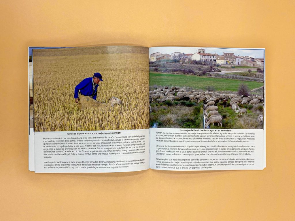 «El adiós de otro rebaño», fotolibro de Jorge Sanz.