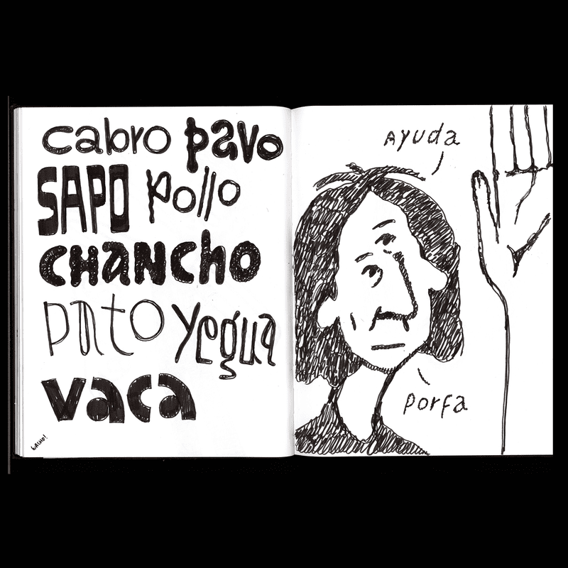 Nicolás Villalobos, UNO CÁ™.