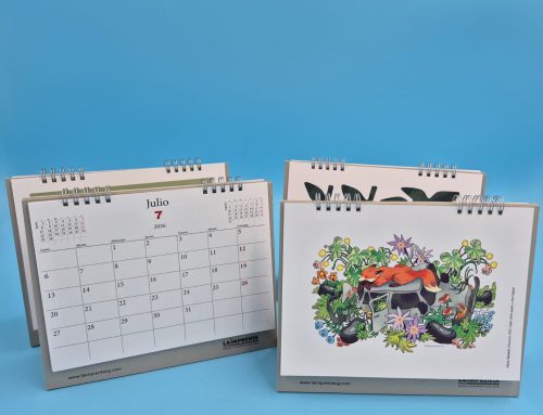 Núria Tamarit ilustra el mes de julio en nuestro calendario