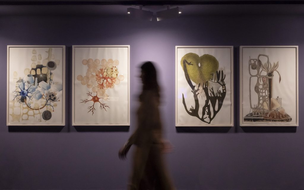 Exposición IVAM
