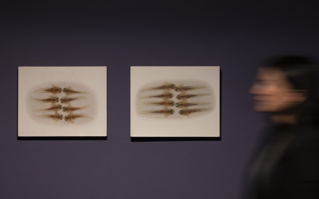 Exposición IVAM