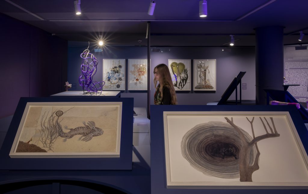 Exposición IVAM