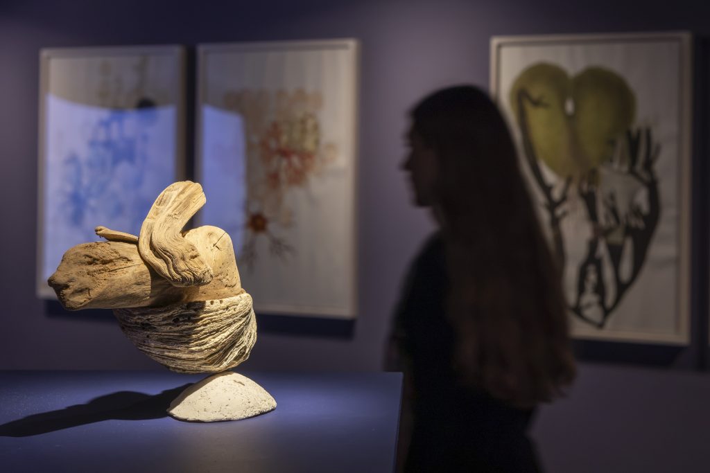 Exposición IVAM