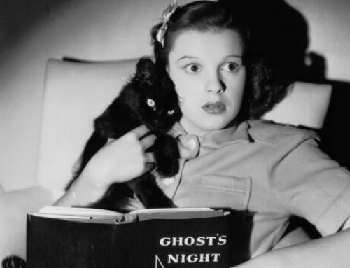 Libros de miedo para leer en Halloween